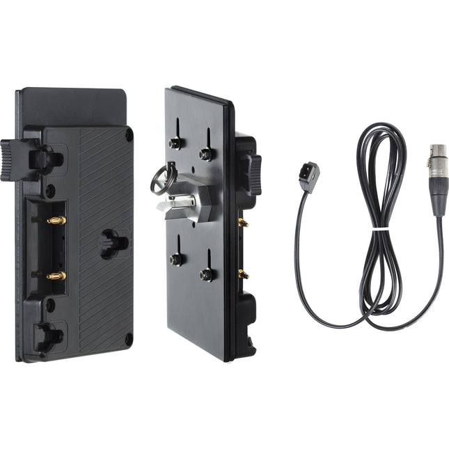 HIVE LIGHTING Battery Plate Gold Mount con Salida D-Tap y Placa Trasera Metálica
