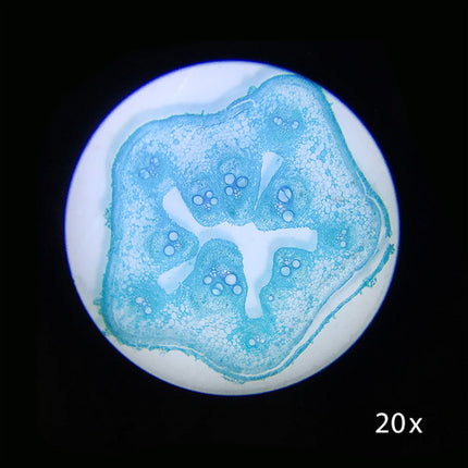 Barska AY13116 Microscopio 50x 10x 25x Iluminación LED Estereoscópico