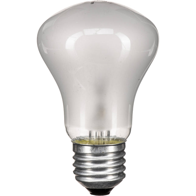 Elinchrom Lámpara de Modelado para EL250 y EL250C 100W 90V