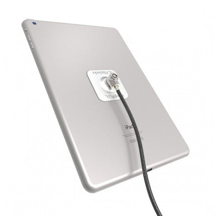 Maclocks Universal Tablet Lock Adhesive Seguridad con Cable de 6 Pies y 2 Llaves