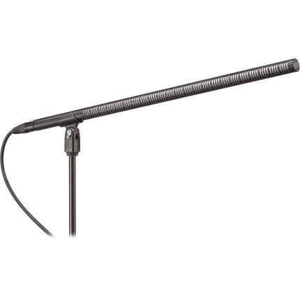 Audio-Technica BP4071L Micrófono Condensador Linea y Gradiente 21 Pulgadas Filtro Corte 80Hz