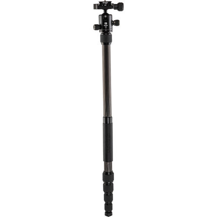 Benro Tripster Tripode de Viaje Carbono con Cabeza de Bola y Bolsa