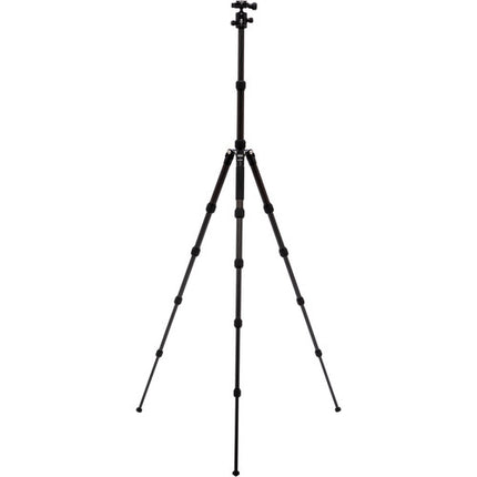 Benro Tripster Tripode de Viaje Carbono con Cabeza de Bola y Bolsa