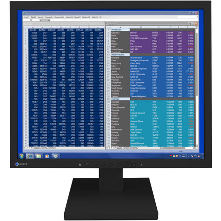 EIZO FlexScan S1703-A Monitor TN 17" 1280x1024 DVI VGA 5 ms