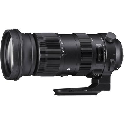 Sigma 60-600mm f/4.5-6.3 DG OS HSM Objetivo para cámara SA estabilización óptica y motor AF ultrasónico