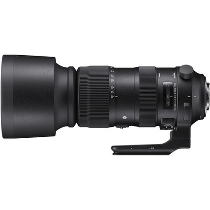 Sigma 60-600mm f/4.5-6.3 DG OS HSM Objetivo para cámara SA estabilización óptica y motor AF ultrasónico