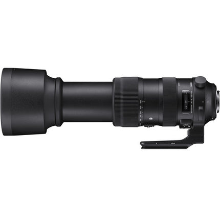 Sigma 60-600mm f/4.5-6.3 DG OS HSM Objetivo para cámara SA estabilización óptica y motor AF ultrasónico