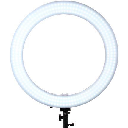 GTX STUDIO 312 luz anillo LED 19 pulgadas CRI 90 3200K 5500K