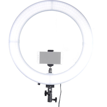 GTX STUDIO 312 luz anillo LED 19 pulgadas CRI 90 3200K 5500K