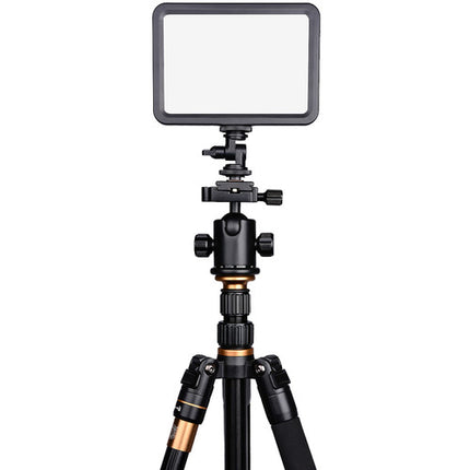 YELANGU LED204 Luz LED Bicolor para Video con 204 LEDs y Regulador