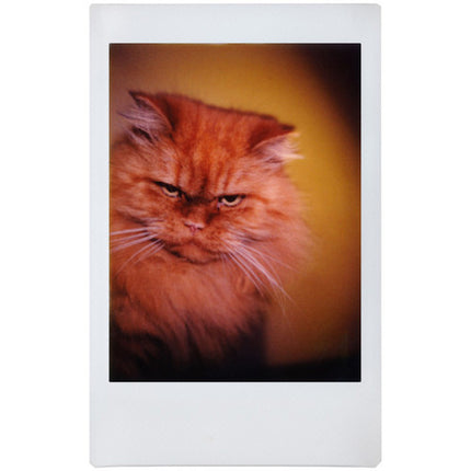 Lomography Lomo'Instant Automat Glass Cámara Instantánea con lente 38mm f4.5 y flash incorporado