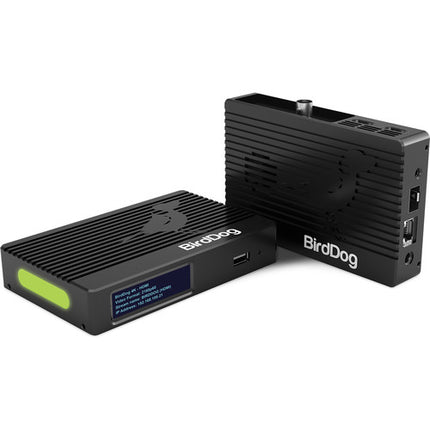 BirdDog 4K HDMI 2.0 NDI Codificador decodificador UHD 4K60 PoE+ support
