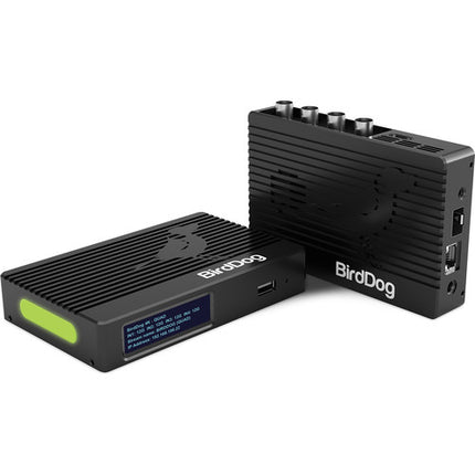 BirdDog 4K Quad Codificador Decodificador UHD 4K60 4x12G-SDI PoE+