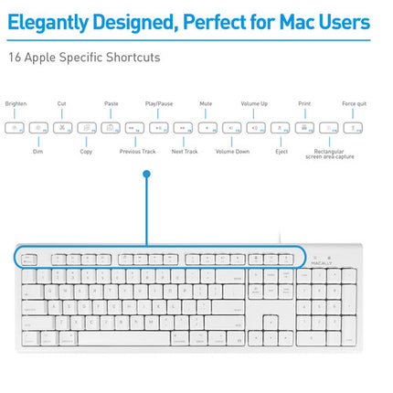 Macally Teclado USB Completo 104 Teclas y Mouse Óptico 1200 dpi para Mac