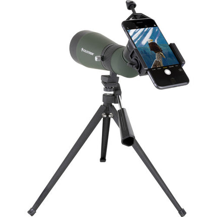 Celestron LandScout 12-36x60 Telescopio terrestre con trípode y kit para smartphone