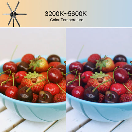 GVM LED Ring Light Soft Light 600S Luz Anular 3200-5600K 7.25' Trípode