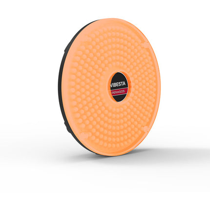 Vibesta Peragos Disk 304P Luz LED Día 5600K 30° Haz con Filtros Magnéticos