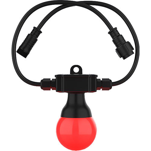 CHAUVET DJ Festoon 2 Luz de Cuerda con Bombillas LED RGB IP54 y Controlador