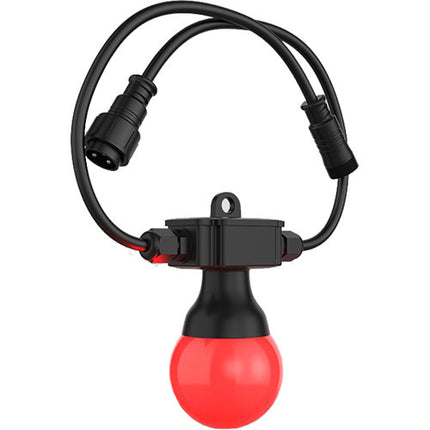 CHAUVET DJ Festoon 2 Luz de Cuerda con Bombillas LED RGB IP54 y Controlador