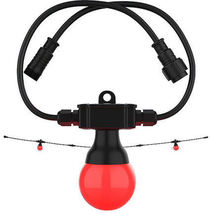 CHAUVET DJ Festoon 2 RGB Extensión de Cadena de Luces 49 pies 20 Bulbos RGB