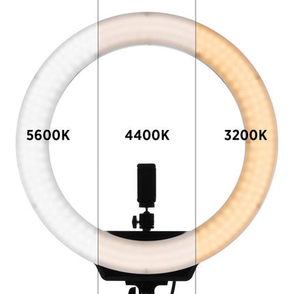 Fovitec Bi-Color LED 19 Ring Light luz anular 3200-6500K y soporte 6.25'