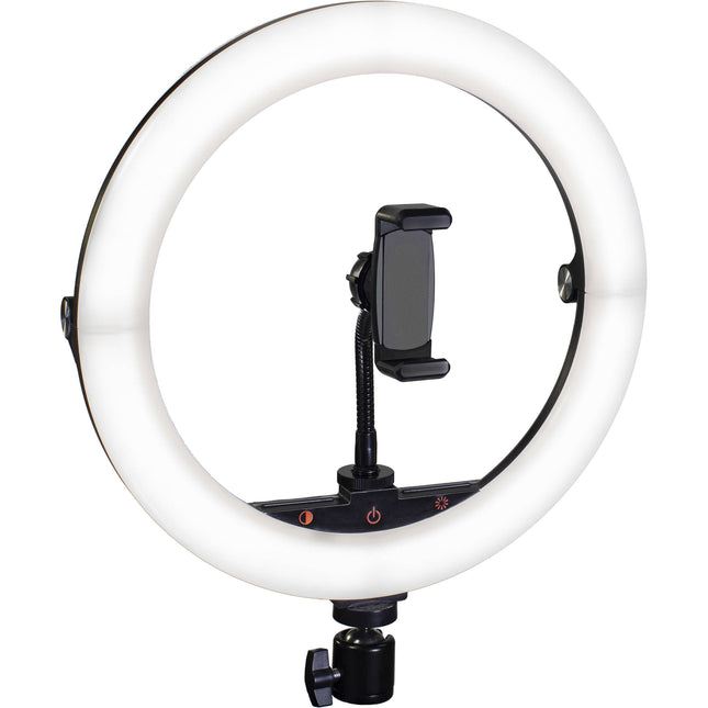 Raya Bendie-Brite Anillo de Luz USB Bi-Color 10" 2700-5600K