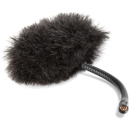 DPA Microphones 4097 CORE Micro micrófono directo compacto 4 pulgadas resistente al clima