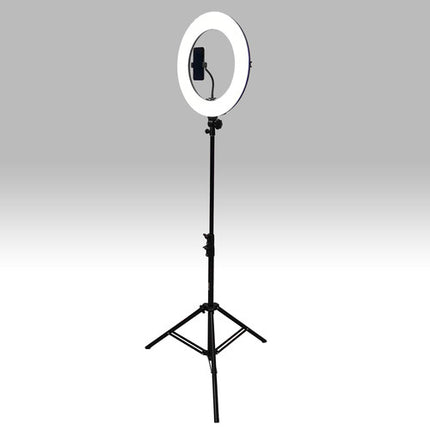 Dracast Halo Plus Series 180 Luz LED Circular Bicolor 19" 2700-5600K CRI 96+ Kit con Soporte