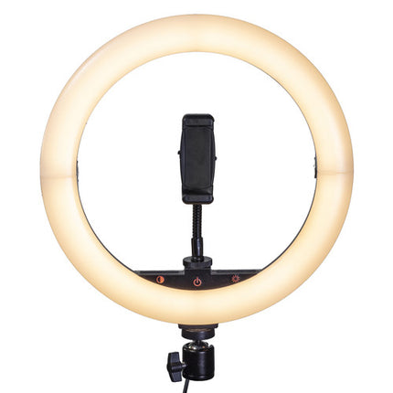 Raya Bendie-Brite Anillo de Luz USB Bi-Color 10" 2700-5600K