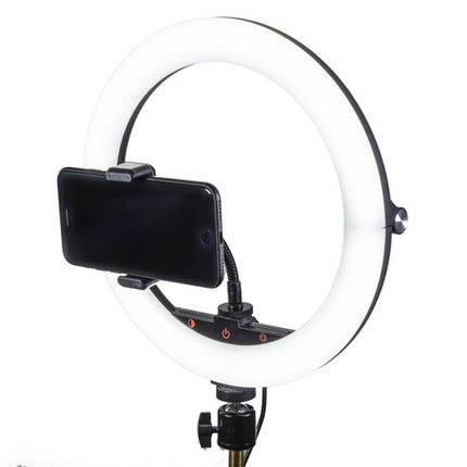 Raya Bendie-Brite Anillo de Luz USB Bi-Color 10" 2700-5600K