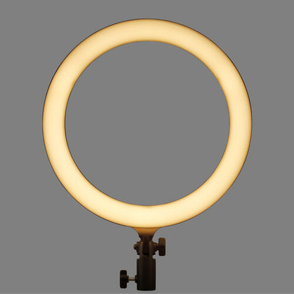 Godox LR120 Aro de Luz LED Bicolor 12" 3000-6000K Dimmable