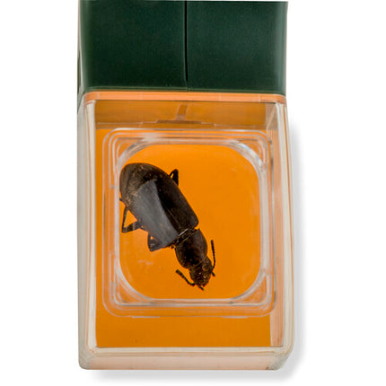 Carson HU-10 5x BugView Lupa Para Insectos Operación Con Una Mano