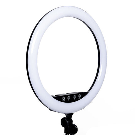 Savage Vlogger Kit de Iluminación Anular LED Bicolor 17" con Soporte y Fondo Reversible 5 x 7'