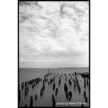 Film Photography Project X2 Eastman Double-X Película B/N 35mm ISO 200 24 exposiciones