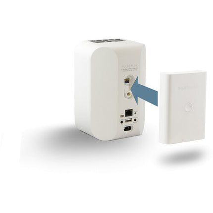 Bluesound BP100 Batería para Altavoz PULSE FLEX Blanco 6 Horas Autonomía