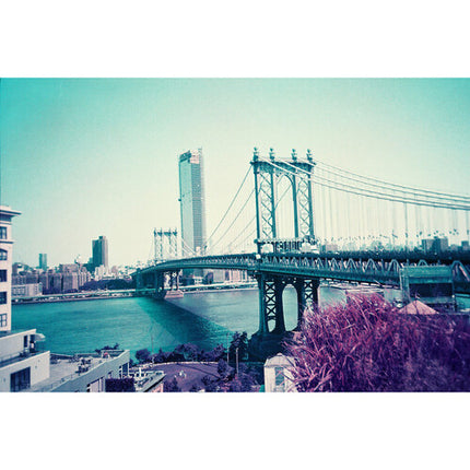 Lomography Lomochrome Purple Película Color Negativo 110 ISO 400 24 Exposiciones
