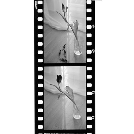 Adox Scala 50 Película Blanco y Negro Reversal 35mm 36 Exposiciones ISO 50 Grain Fino