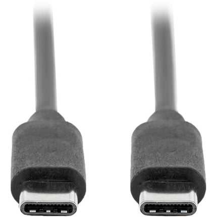 Rocstor Premium Cable USB-C 2.0 3 pies Negro 480 Mb/s velocidad