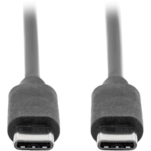 Rocstor Premium Cable USB-C 2.0 3 pies Negro 480 Mb/s velocidad