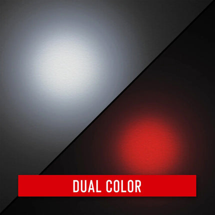 COAST PX20 Linterna LED con Foco Bull's-Eye 315 Lúmenes Luz Roja y Blanca