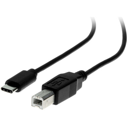 Rocstor Cable USB Type-C a USB Type-B Macho 3 Pies Negro