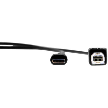 Rocstor Cable USB Type-C a USB Type-B Macho 3 Pies Negro