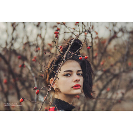 Lensbaby Velvet 85mm f/1.8 Lente Sony E Montura Diafragma 12 Hojas Hood Metálico