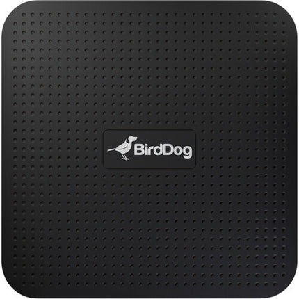 BirdDog PLAY 4K Reproductor NDI Convertidor HDMI 4K60 Gigabit Ethernet USB-C