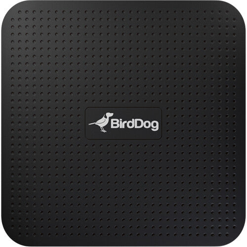 BirdDog PLAY 4K Reproductor NDI Convertidor HDMI 4K60 Gigabit Ethernet USB-C