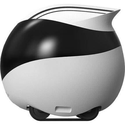 Enabot Ebo Air Robot 1920x1080 píxeles WiFi Dual Band Visión Nocturna