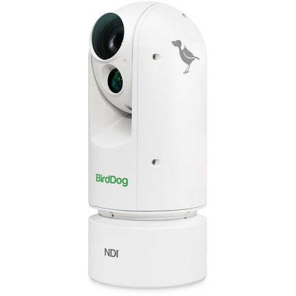 BirdDog Eyes A300 Cámara PTZ 1080p 30x Zoom Óptico IP67
