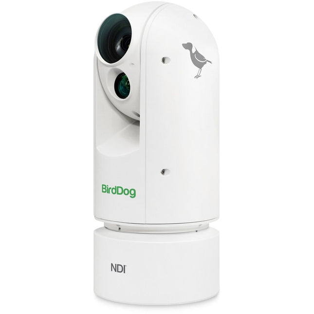 BirdDog Eyes A300 Cámara PTZ 1080p 30x Zoom Óptico IP67