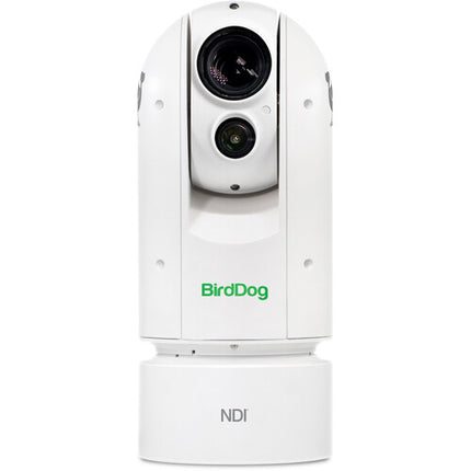 BirdDog Eyes A300 Cámara PTZ 1080p 30x Zoom Óptico IP67