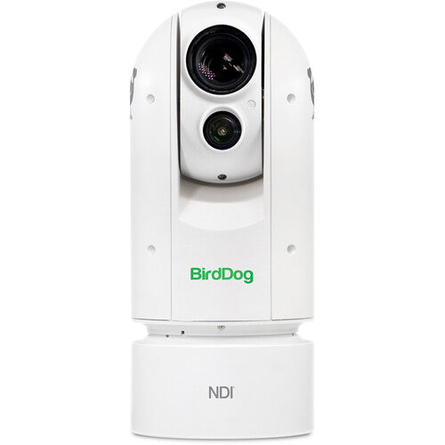 BirdDog Eyes A300 Cámara PTZ 1080p 30x Zoom Óptico IP67